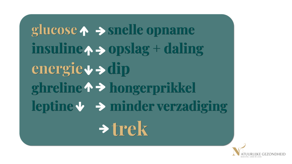 Schema van hormonale processen waarbij glucose en insuline stijgen, energie daalt en ghreline en leptine de trek beïnvloeden