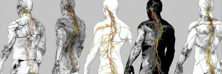 Abstracte weergave van het menselijk lichaam als samenhangend regulatiesysteem.