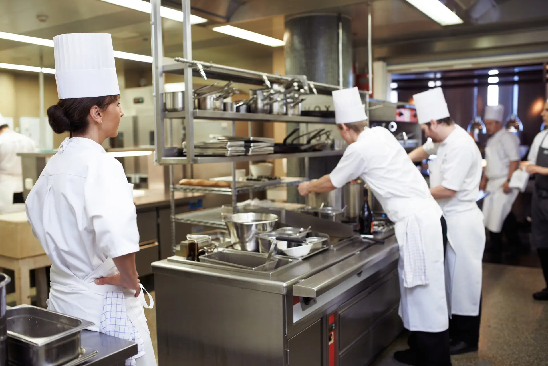 Chef-kok, personeel en kookprofessionals in de keuken voor evaluatie van culinaire opleiding