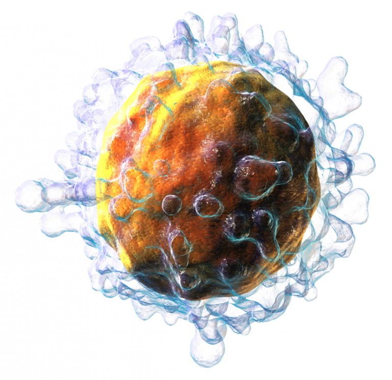 T-cel onder microscoop – voorbeeld van immuuncel die eiwitten nodig heeft om infecties te bestrijden