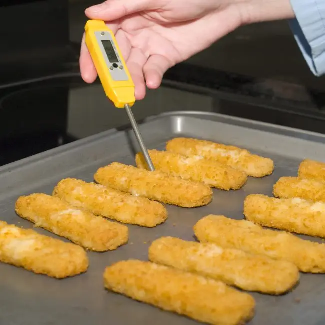 Keukenchef meet temperatuur met digitale thermometer tijdens HACCP-controle – FICHEFLOW systeem