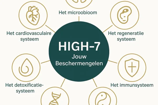 De HIGH-7: Hoe ik ontdekte dat ons lichaam zeven beschermengelen heeft
