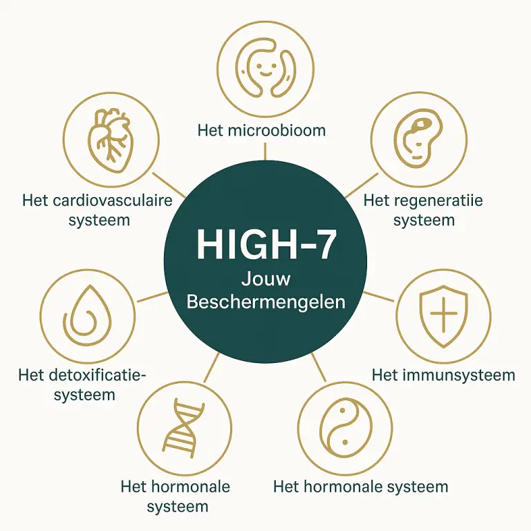 Infografiek van de zeven gezondheidssystemen (HIGH-7) – angiogenese, regeneratie, microbioom, DNA, immuunsysteem, hormonen en detoxificatie