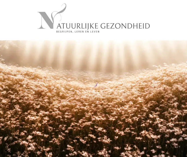 Illustratie van gezonde darmflora: diverse bacteriën in de darmen, symbool voor balans tussen microbioom en gezondheid