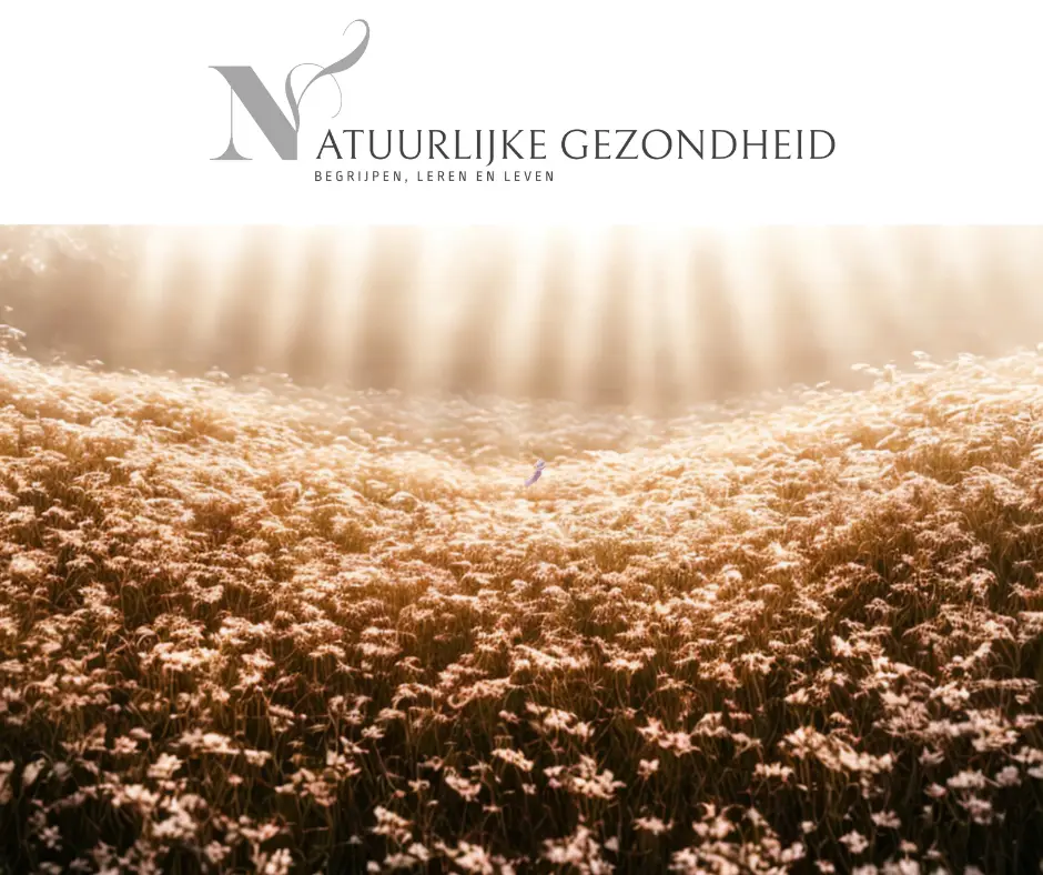 Illustratie van gezonde darmflora: diverse bacteriën in de darmen, symbool voor balans tussen microbioom en gezondheid