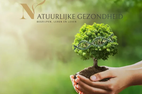 De zes bouwstenen van het leven en wat ze betekenen voor jouw gezondheid