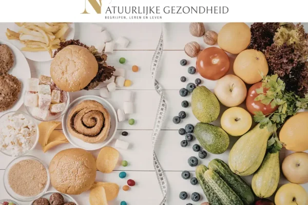 De onzichtbare strijd die ons lichaam dagelijks vecht – Deel 3