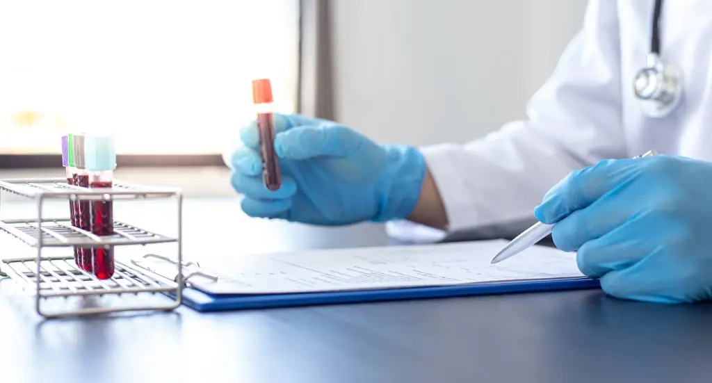 Bloedwaarden interpreteren als basis voor persoonlijk voedingsadvies