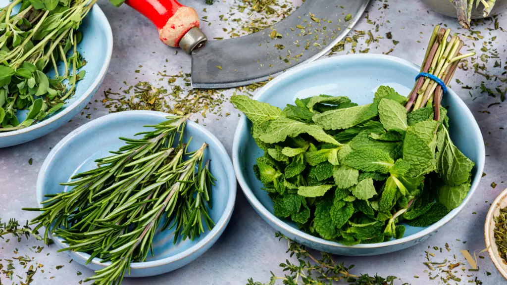 Kommetjes met verse kruiden: munt, rozemarijn en oregano op werkblad