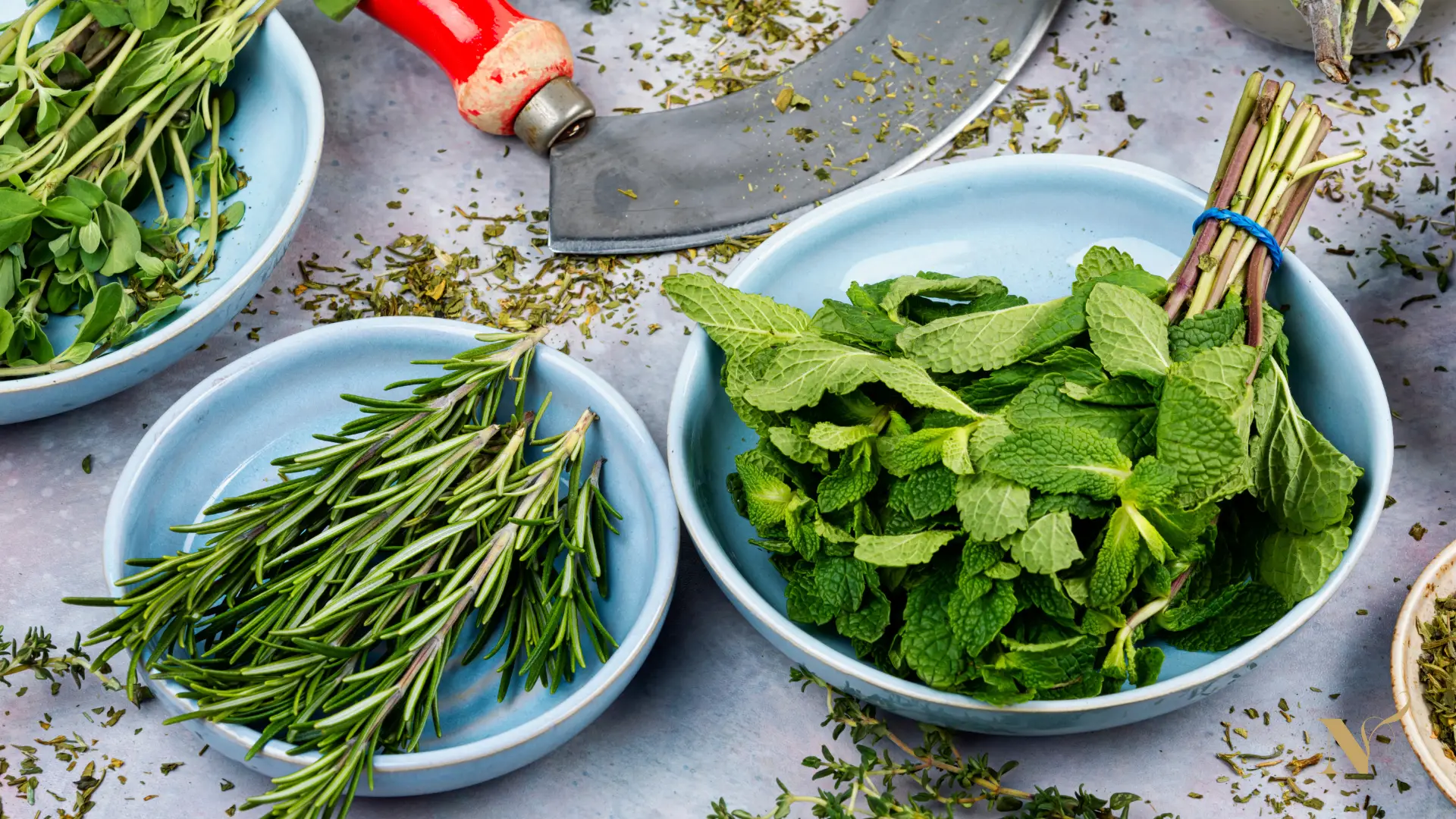 Verse kruiden en ingrediënten tijdens een praktische workshop rond smaak en koken