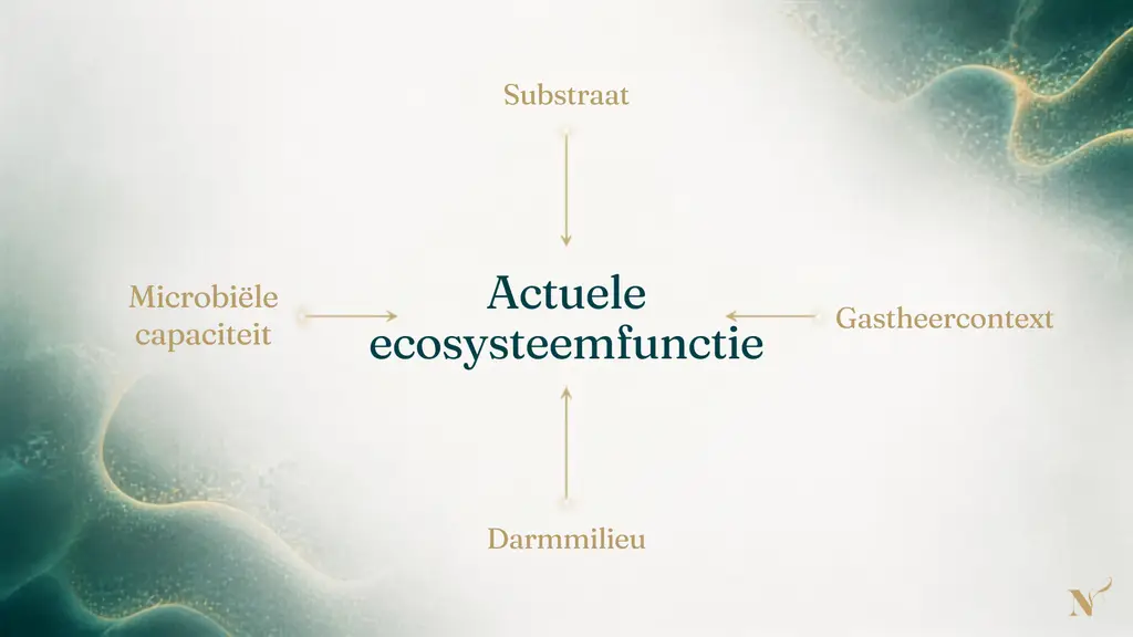 Schema waarin substraat, microbiële capaciteit, darmmilieu en gastheercontext samen de actuele ecosysteemfunctie bepalen
