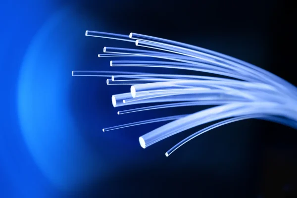 Metabole signalen en gewichtsregulatie