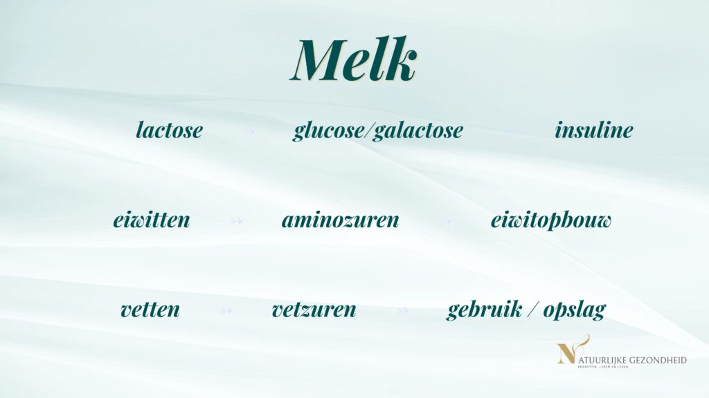 Fysiologische verwerking van melk via suikers, eiwitten en vetten