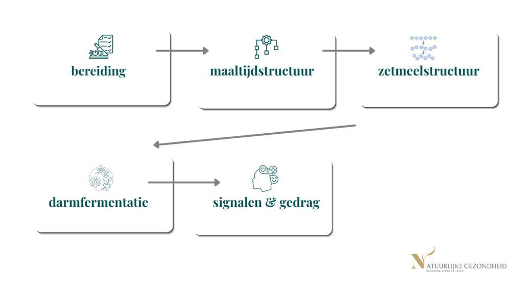 Schema van het proceswiel van aardappelpuree: bereiding, maaltijdstructuur en zetmeelstructuur werken door naar darmfermentatie en signalen.