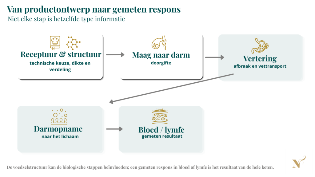 Schema van receptuur en voedselstructuur via maag-darmdoorgifte, vertering en darmopname naar een gemeten respons in bloed of lymfe